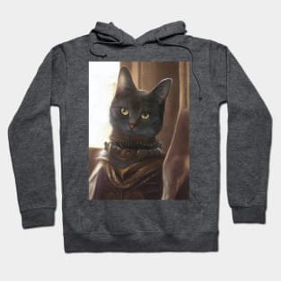 Mystic Mage cat: Frodo Hoodie